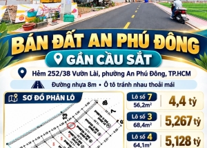 Bán Đất Hẻm 252/38 Vườn Lài, An Phú Đông